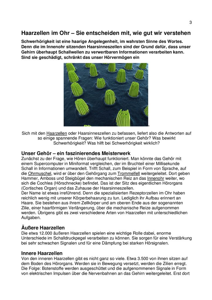 thumbnail of Mitgliederschreiben Juni 2021 – 3